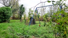 CHARTRES - MAISON 75 m² - JARDIN ET GRANGE