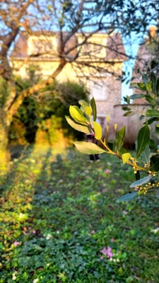 CHARTRES - MAISON DE 85 m² - GARAGE ET JARDIN