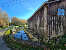 Maison de village avec jardin 