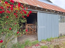 Maison avec dépendances 5 pièces LE TEILLEUL (50)