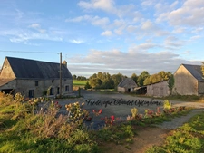Propriete à vendre 3 pièces HERCE (53)