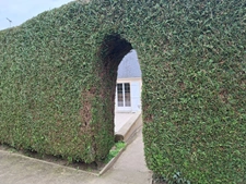Maison 6 pièces MONTENAY (53)