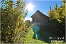Maison à vendre 3 pièces MOUSSEY (88)