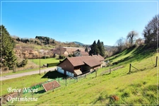 Ferme avec maison 4 chambres, terrain 8000 m² et source naturelle