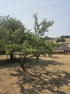 A VENDRE en EXCLUSIVITE maison de famille 5 chambres, 35 ares de terrain et petit hangar