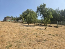 A VENDRE en EXCLUSIVITE maison de famille 5 chambres, 35 ares de terrain et petit hangar
