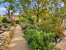 Maison à vendre 0 pièces RAINANS (39)