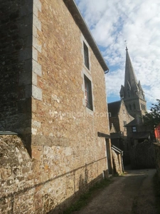 INVESTISSEURS A vendre ensemble d'Immeubles et maisons en pierre  à vendre  (35) 