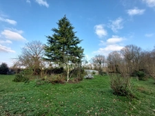 Maison à vendre 6 pièces + Atelier  SAINT ONEN LA CHAPELLE (35) permaculture