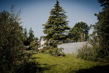 Maison à vendre 6 pièces + Atelier  SAINT ONEN LA CHAPELLE (35) permaculture