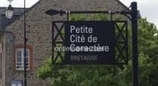 INVESTISSEURS A vendre ensemble d'Immeubles et maisons en pierre  à vendre  (35) 