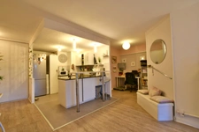 Appartement à vendre 2 pièces 51,5 m2 - parking - Grenier