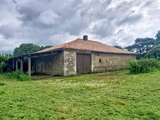 Authentique maison lomagnole de 1808 – 227 m², 7 087 m² et dépendances