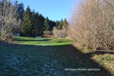 Terrain à vendre de 1 600,00 m² ANOULD (88)