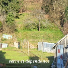 Maison à vendre 7 pièces rénovées + combles RAON L'ETAPE (88)