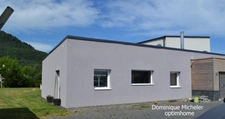 SUPERBE !!:villa 330m2 8 pièces 100M2 Espace Sport et Détente 100m2 SAINT DIE DES VOSGES (88)