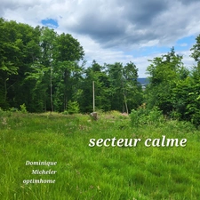 TERRAIN AVEC VUE 1861,00 m² SAINT DIE DES VOSGES (88)