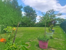 Maison à vendre 8 pièces MEZIN (47)