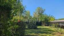 HYÈRES – PROPERTY ON OVER 1 HECTARE – SINGLE-STOREY MAIN HOUSE, SWIMMING POOL AND OUTBUILDINGS 