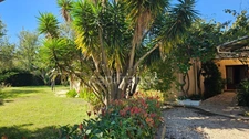 HYÈRES – PROPERTY ON OVER 1 HECTARE – SINGLE-STOREY MAIN HOUSE, SWIMMING POOL AND OUTBUILDINGS 