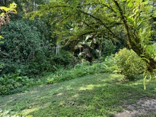 Maison à vendre 5 pièces SAINT LAURENT DU MARONI (973)