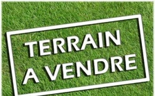 Grand terrain A Maillé