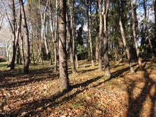 Terrain à bâtir hors lotissement