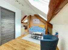 Maison à vendre 9 pièces avec gite SAINT DIE DES VOSGES (88)