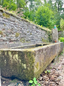 Maison à vendre 9 pièces avec gite SAINT DIE DES VOSGES (88)