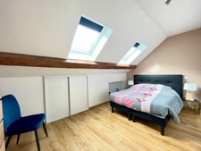 Maison à vendre 9 pièces avec gite SAINT DIE DES VOSGES (88)