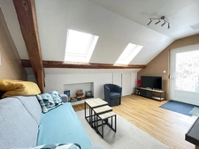 Maison à vendre 9 pièces avec gite SAINT DIE DES VOSGES (88)