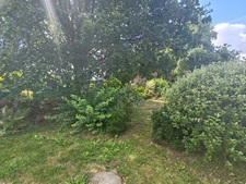 Maison à vendre 4 pièces Proche de PLOUAY (29)