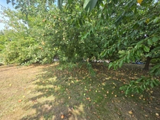 02 - Vente longère individuelle NEUVE-MAISON - 6 pièces 122 m² - Terrain 1673 m²