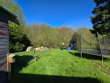 HIRSON (02) - 🏡 Vente maison individuelle avec 3 chambres 🛏️🛏️🛏️ et jardin 🍀