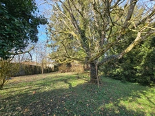 02 - Vente fermette individuelle plain-pied SAINT-MICHEL - 7 pièces 130 m² - Terrain 3603 m²