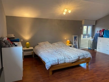 Belle maison en bois et son gîte, situation idéale !