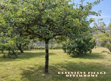 Centre-ville de Pontivy – Maison de 4 pièces avec sous-sol sur 1 500 m² de jardin paysagé en zone UB : un potentiel rare qui fait la différence !