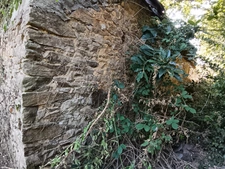 Terrain de loisirs de 2 300 M2 avec ancienne dépendance – Zone agricole – Crédin