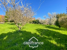 Maison à vendre 8 pièces  (71)
