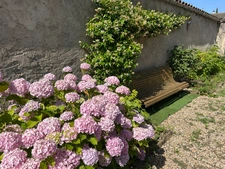 Maison ancienne de caractère, à la campagne.