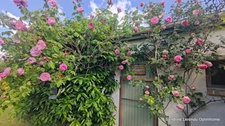 Maison de Charme avec Jardin arboré - 5 pièces – 106 m² avec système de chauffage adapté aux maisons de caractère– Pont-de-l'Arche 