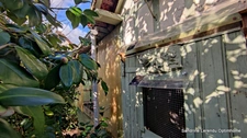 Maison de Charme avec Jardin arboré - 5 pièces – 106 m² avec système de chauffage adapté aux maisons de caractère– Pont-de-l'Arche 