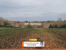 Terrain à vendre de 8 015,00 m² LA GENEYTOUSE (87)