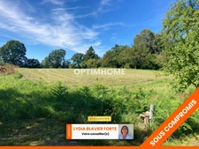Terrain à vendre de 6 680,00 m² SAINT LEONARD DE NOBLAT (87)