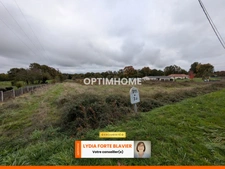 TERRAIN  - 4764 m² - VIABILISE - SAINT HILAIRE LES PLACES (87)