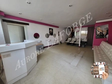 Immeuble à vendre LE BLANC (36) 1h de chateauroux, 20min de saint savin