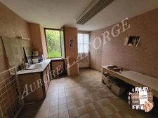 Immeuble à vendre LE BLANC (36) 1h de chateauroux, 20min de saint savin