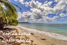 SAINTE LUCE (972) - Villa créole T5 avec vue mer et accès direct plage