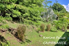 A vendre SAINTE LUCE (972) - Villa T4 avec piscine, bungalow et appartement T3 proche plage