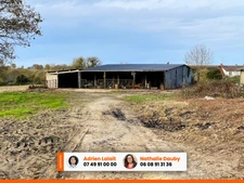 Maison 3 chambres dont 1 en RDC - Grand terrain, champ, hangars